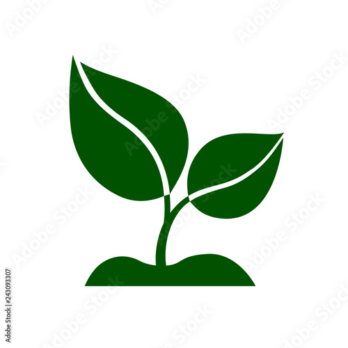 Icon of green plant. Sprout with green leaves growing on ground. Vector Illustration