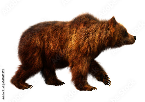 3D Rendering Brown Bear on White