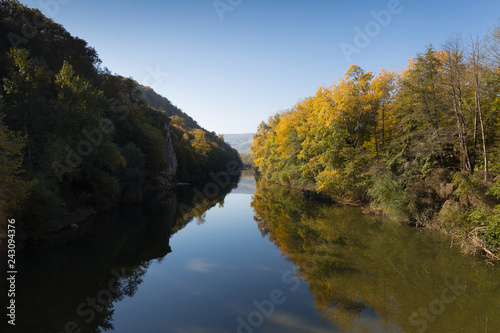 Bright yellow-green trees with reflection on the smooth surface of a mountain river. Beautiful landscape.