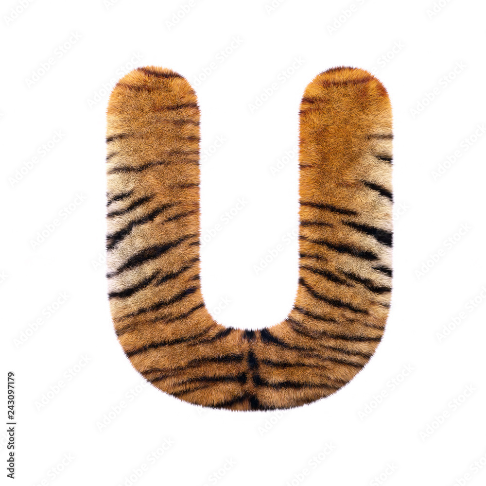 Tiger letter U - Capital 3d Feline fur font - suitable for Safari, Wildlife or big felines related subjects Tiger letter U - Capital 3d Feline fur font - suitable for Safari, Wildlife or big felines related subjects