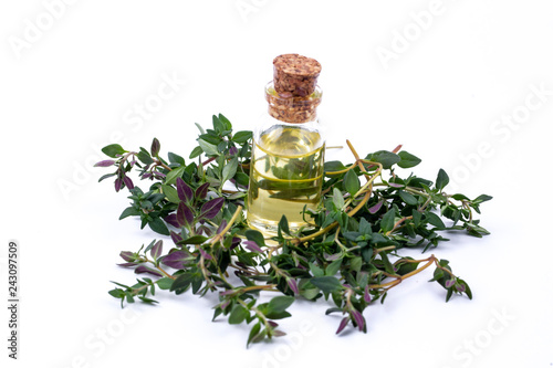 Oil of thyme fresh sprigs o...