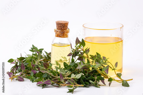 Oil of thyme fresh sprigs o...