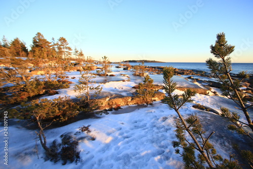 Höga Kusten Rotsidan Schweden Winterlandschaft  photo