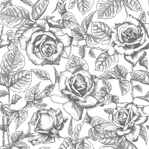 Seamless pattern Hand drawn sketch roses Detailed vintage botanical illuatration. Floral frame. Black silhouette isollated on white background.