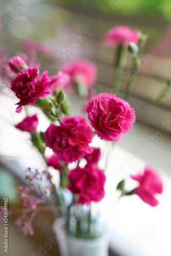 Pink carnation bouquet stands on windowsill in white vase  natural light