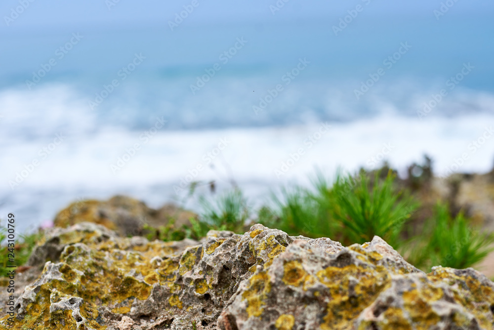 sea, waves, needles, rock sea, waves, needles, rock