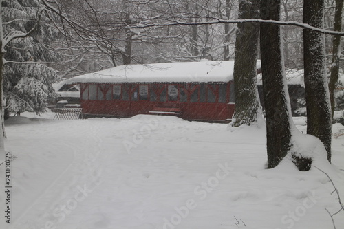 Lesanka hut on Kačín, Bratislava, Slovakia photo