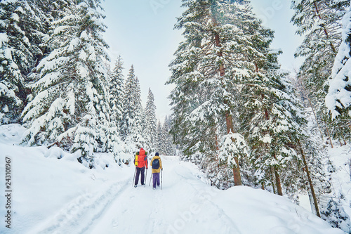 snow covered hiking trail in winter forest