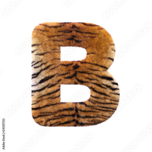 Tiger letter B - Capital 3d Feline fur font - suitable for Safari, Wildlife or big felines related subjects