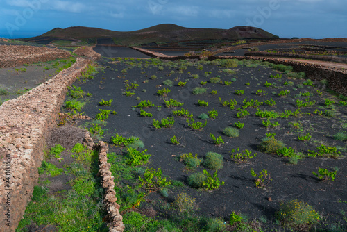 Rural landscape, Tinajo, Lanzarote Island, Canary Islands, Spain, Europe photo