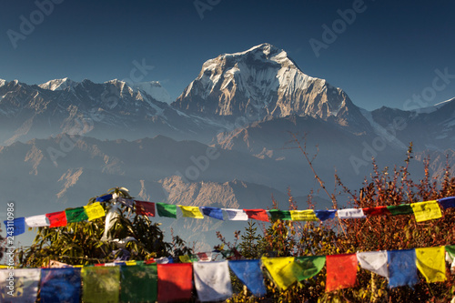 Bhuddism flags with Dhaulagiri peak in background at sunset in Himalaya Mountain, Nepal.