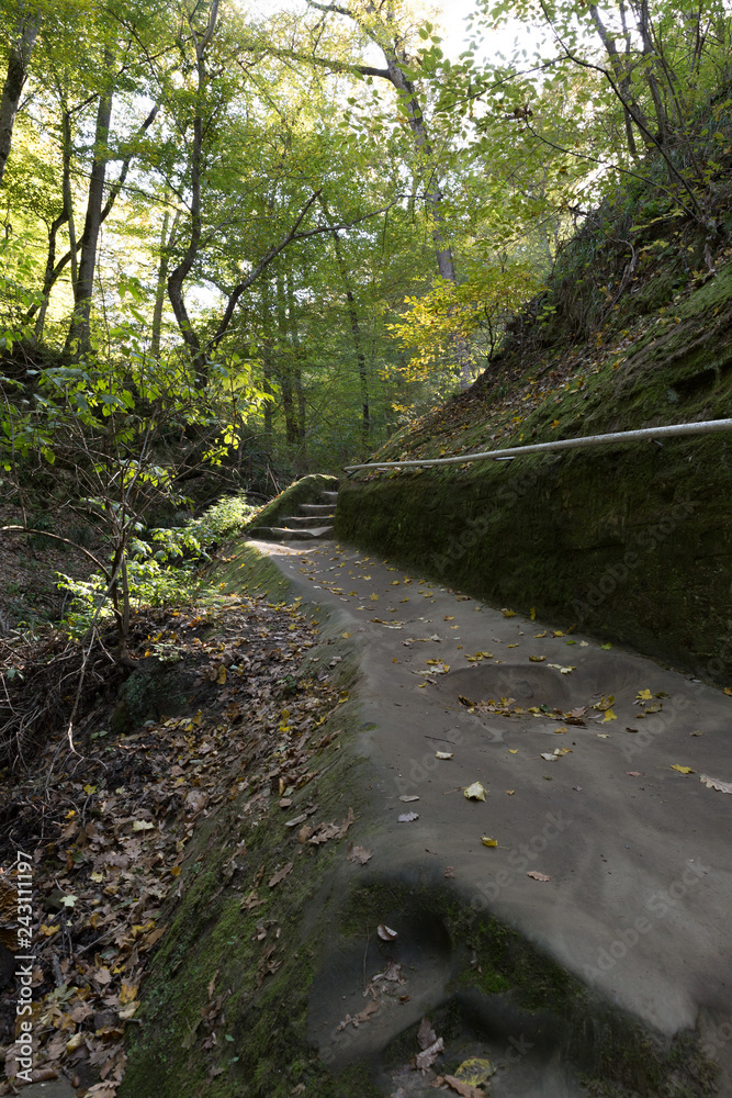 Old staircase and walkway, carved into the stone on the mountainside overgrown with forest. Old staircase and walkway, carved into the stone on the mountainside overgrown with forest.