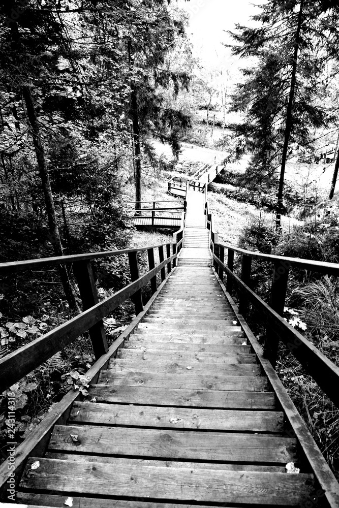 Fototapeta premium old wooden bridge in the forest