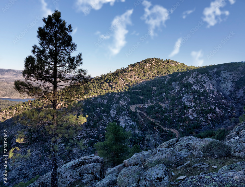 Cerro Cabeza de la Parra en la Sierra de Gredos. Avila. España. Europa Cerro Cabeza de la Parra en la Sierra de Gredos. Avila. España. Europa