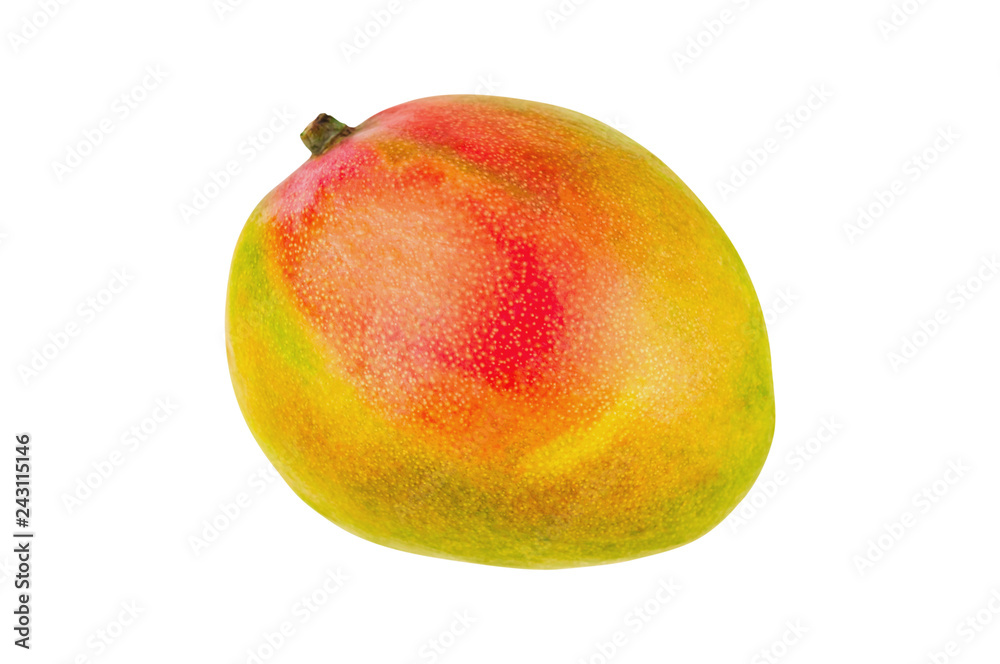 Fresh whole ripe mango isolated on white background. Top view. Clipping path - imag Fresh whole ripe mango isolated on white background. Top view. Clipping path - imag