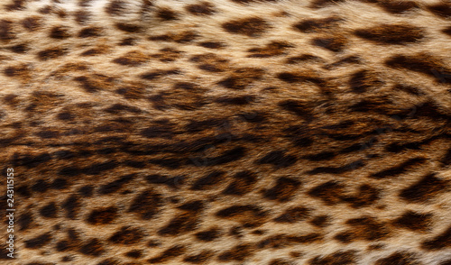 Fur with leopard print