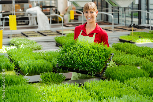 Tableau sur toile Woman showing wheatgrass in market garden to camera