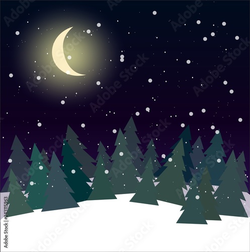 forest at night with pine trees vector