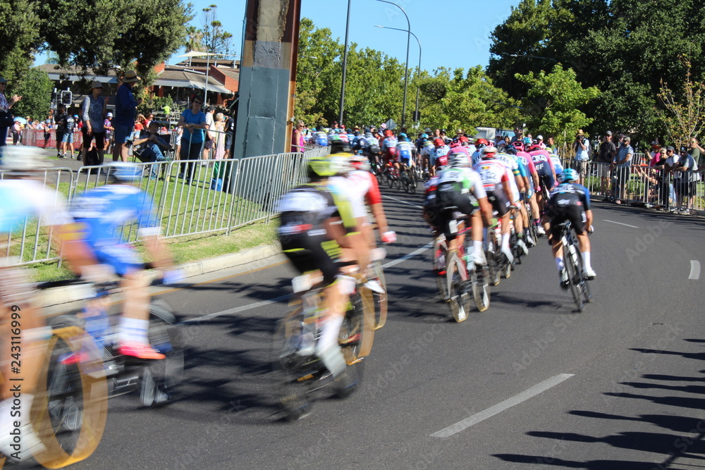custom made wallpaper toronto digitaltour down under 2019, adelaide, australia