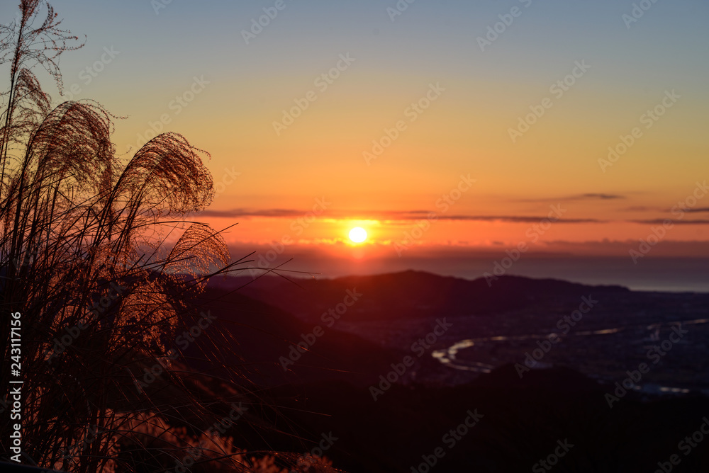 Obraz premium 朝焼け・日の出・ススキ