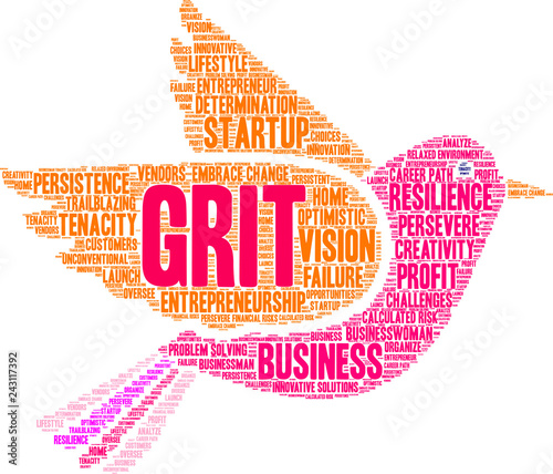 Grit in Entrepreneurship Word Cloud on a white background. 