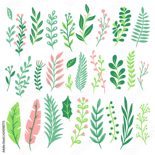 Decor leaves. Green plant leaf, ferns greenery and floral natural fern leaves isolated vector set