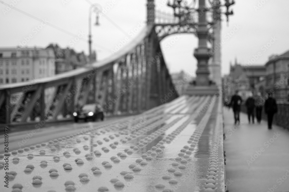 Fototapeta premium Buda 89
