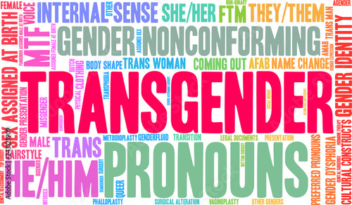 Transgender Word Cloud on a white background. 