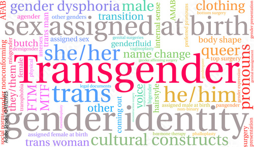 Transgender Word Cloud on a white background. 