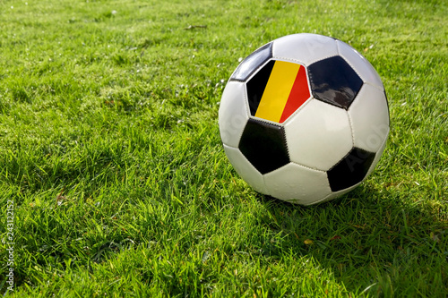 Football on a grass pitch with Belgium Flag.