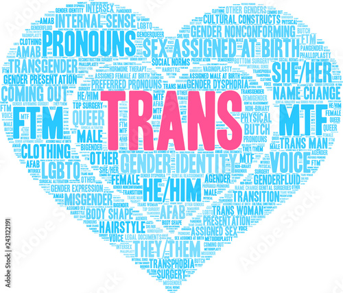 Trans Word Cloud on a white background. 