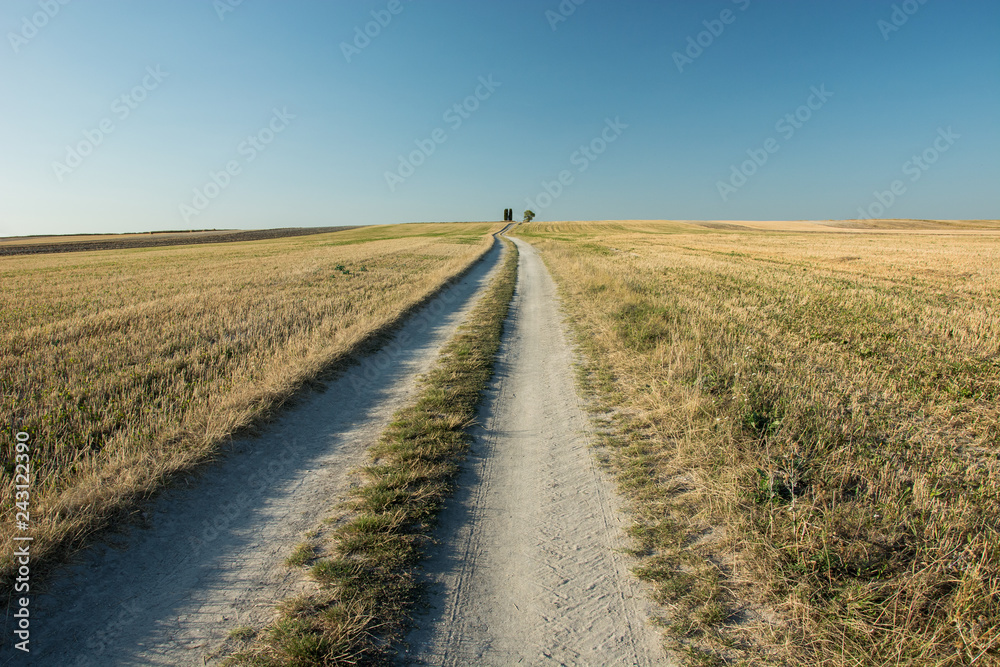 Long country road uphill through stubble fields