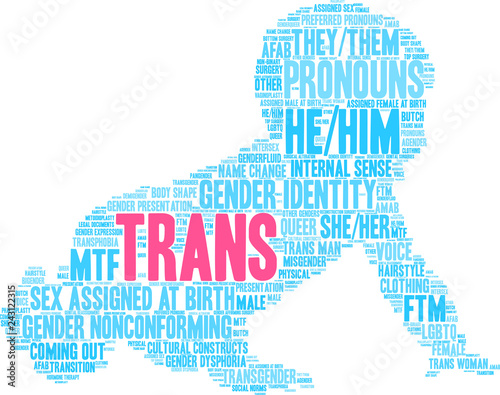 Trans Word Cloud on a white background. 