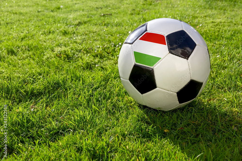 Fototapeta premium Football on a grass pitch with Hungary Flag.