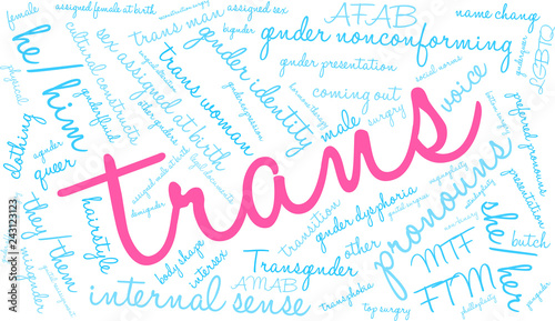 Trans Word Cloud on a white background. 