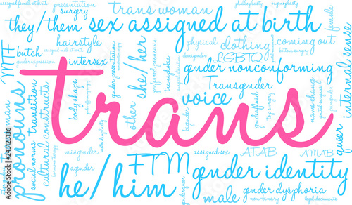 Trans Word Cloud on a white background. 