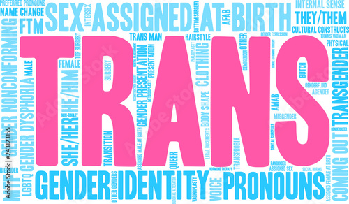 Trans Word Cloud on a white background. 