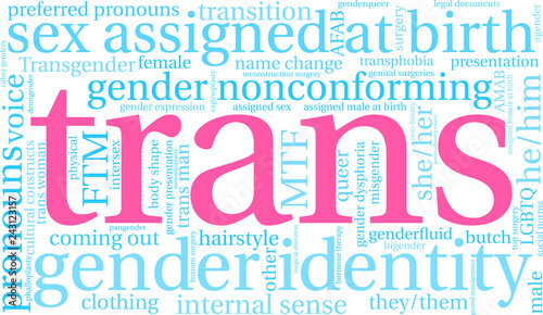 Trans Word Cloud on a white background. 