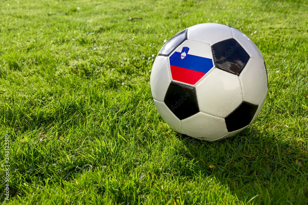 Fototapeta premium Football on a grass pitch with Slovenia Flag