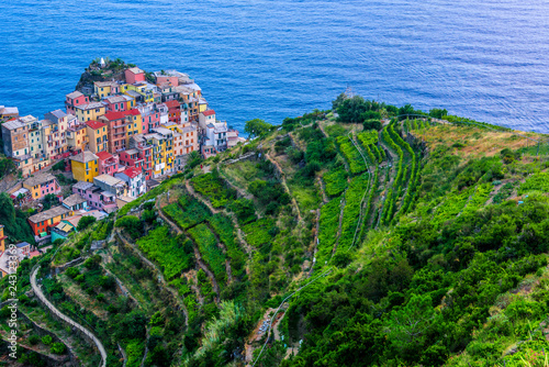 Fototapeta Naklejka Na Ścianę i Meble -  Picturesque town of Manarola, Liguria, Italy