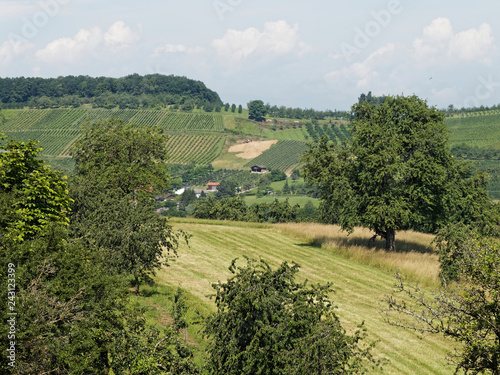 Die Umgebung vom Eggenertal im Markgräflerland. Unterwegs auf dem Obstlehrpfad und Kirschblüte, Hintergrund der Ortsteil Obereggenenen photo