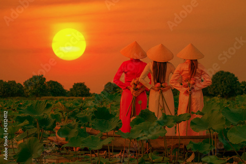 Vietnamese women are collecting the lotus at sunset. photo