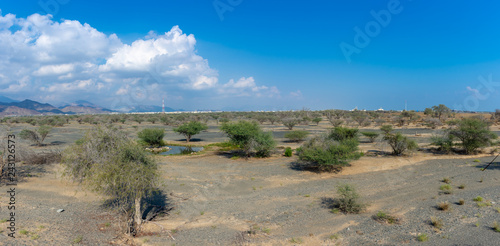 Panorama of the desert life in the Eastern part of the United Arab Emirates near Oman. Blue sky  trees  puffy clouds and mountains.