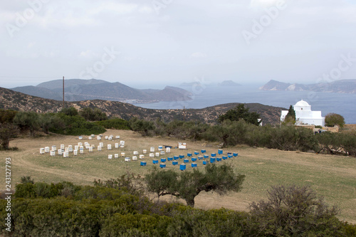 beekeeping on the islands photo