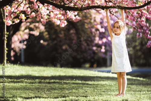 Adorable little girl in white dress in blooming pink garden on beautiful spring day