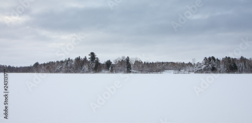 A Winter Landscape © Michael Henderson