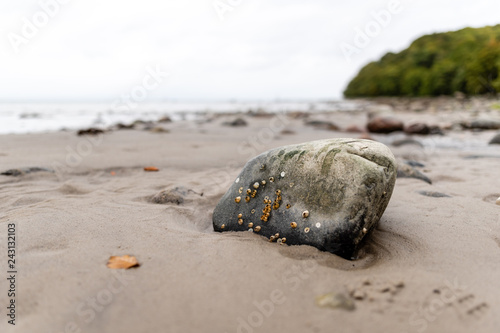 the sea stone