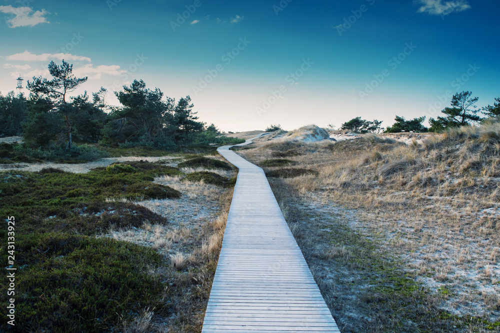 Wooden boardwalk path in the beach dunes coastline landscape Nationalpark Vorpommersche Boddenlandschaft at sunny winter day. German Baltic Sea Darßer Ort coastline at Fischland-Darss-Zingst