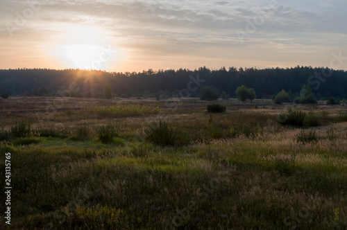 Sunrise. Early morning in the green meadow and trees and bushes far away. Summer landscape