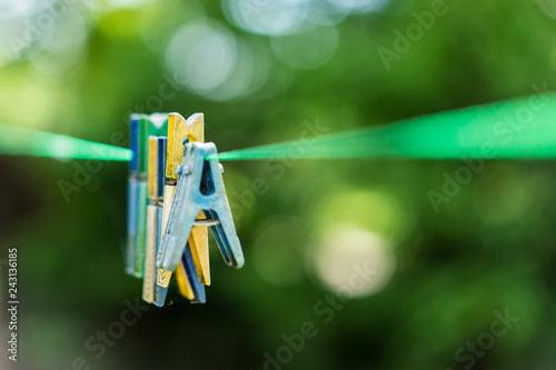 Laundry clips in a forest
